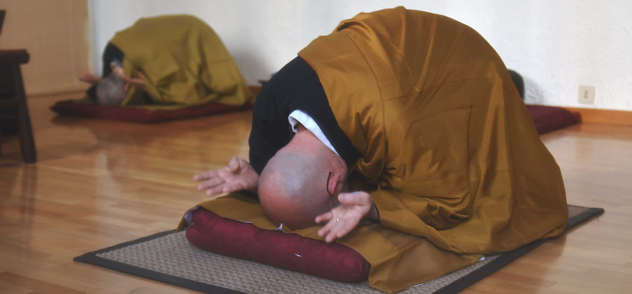 Meditazione Zen e Studio del Dharma
