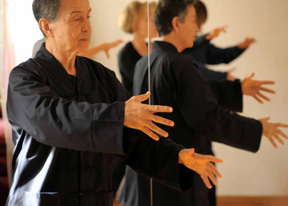 Tai Chi - Qi Gong a Roma presso il Centro Anshin